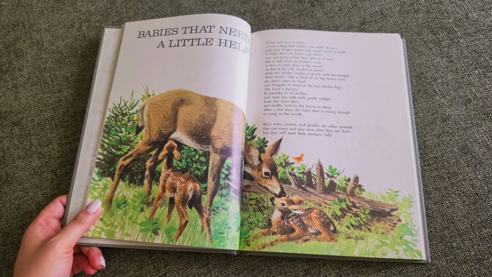 Reading a nature book